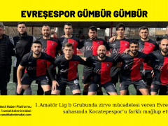 Evreşespor:8 Kocatepespor:1